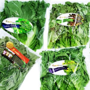 Vegetable