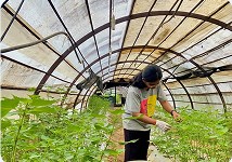 Farm