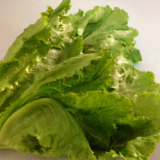 lettuce-iceberg