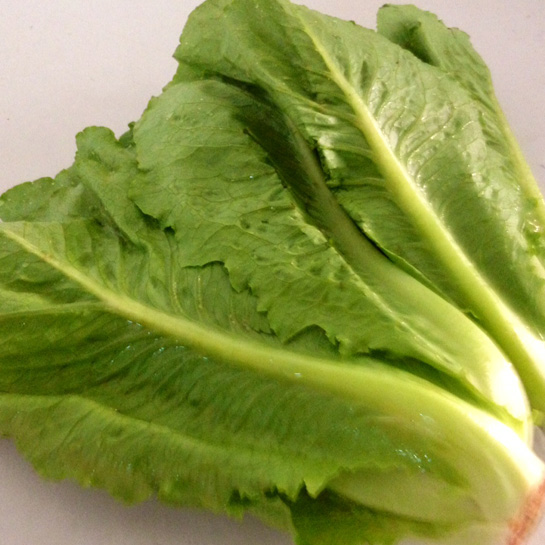 lettuce-romaine